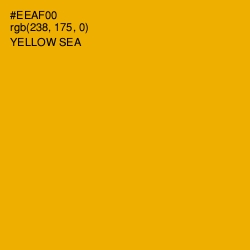 #EEAF00 - Yellow Sea Color Image
